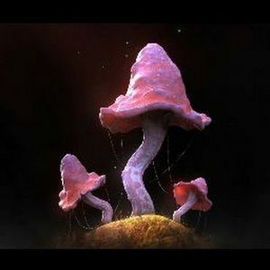 Meet your Posher, Warren